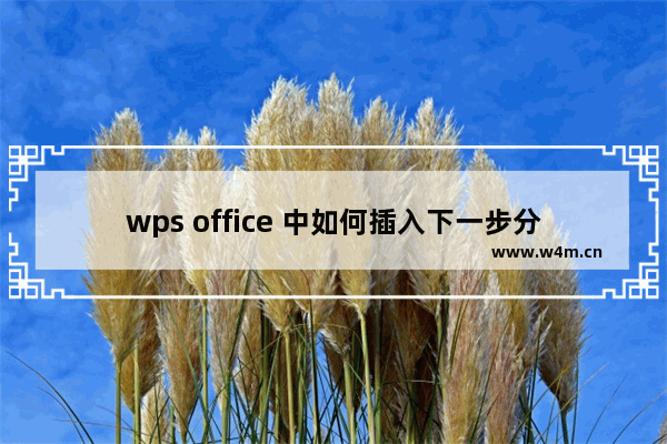 wps office 中如何插入下一步分页