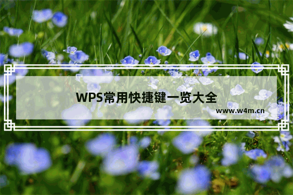 WPS常用快捷键一览大全