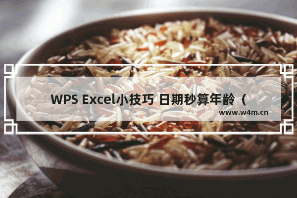 WPS Excel小技巧 日期秒算年龄（精确到年月日）