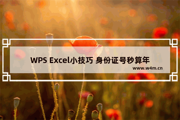 WPS Excel小技巧 身份证号秒算年龄