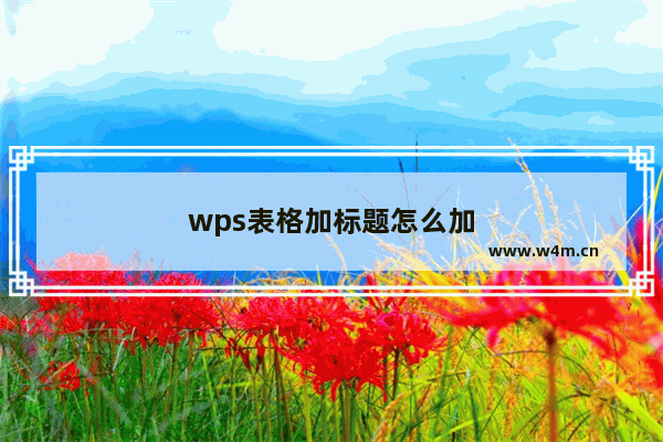 wps表格加标题怎么加