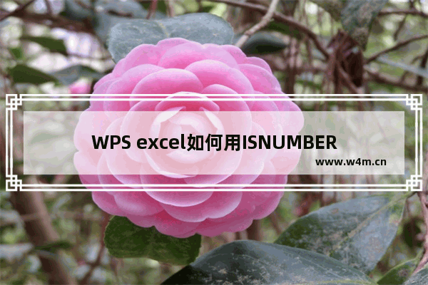 WPS excel如何用ISNUMBER函数判断是否是数值