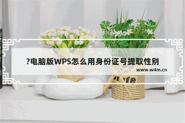 ?电脑版WPS怎么用身份证号提取性别