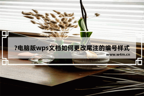 ?电脑版wps文档如何更改尾注的编号样式