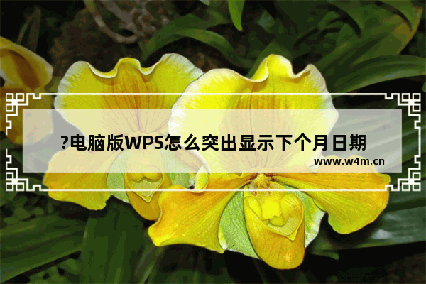 ?电脑版WPS怎么突出显示下个月日期