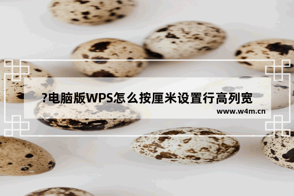 ?电脑版WPS怎么按厘米设置行高列宽