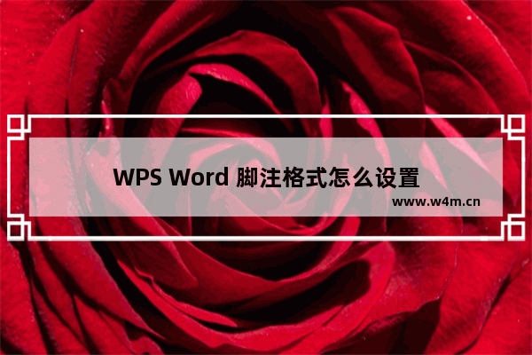 WPS Word 脚注格式怎么设置