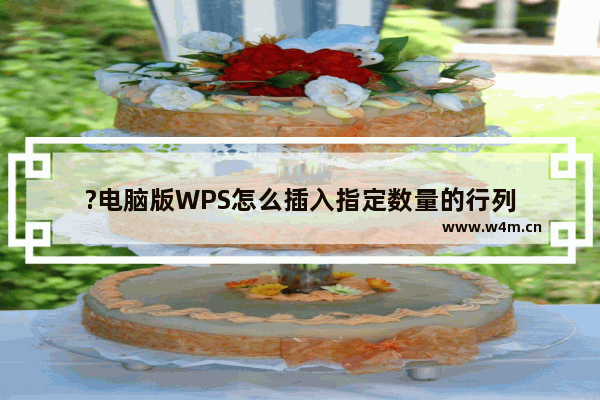 ?电脑版WPS怎么插入指定数量的行列