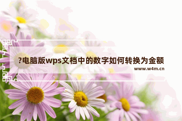 ?电脑版wps文档中的数字如何转换为金额数字