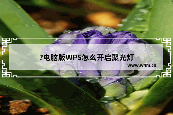 ?电脑版WPS怎么开启聚光灯