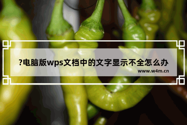 ?电脑版wps文档中的文字显示不全怎么办