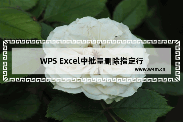 WPS Excel中批量删除指定行