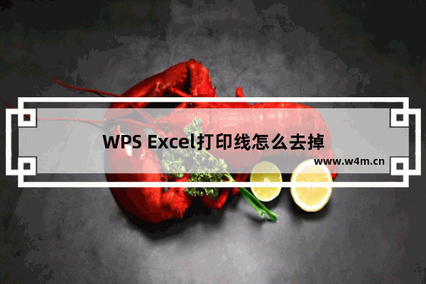 WPS Excel打印线怎么去掉