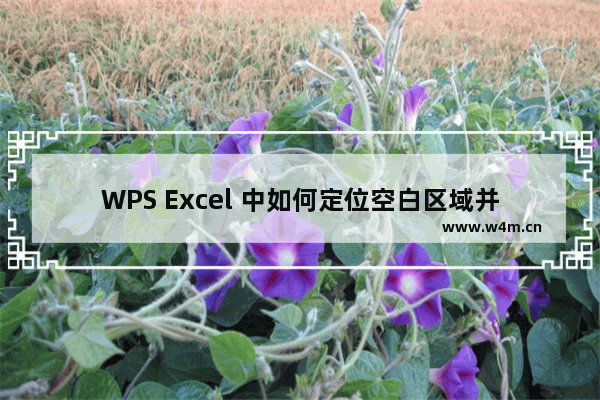 WPS Excel 中如何定位空白区域并批量填充