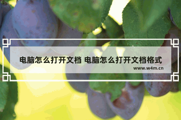 电脑怎么打开文档 电脑怎么打开文档格式