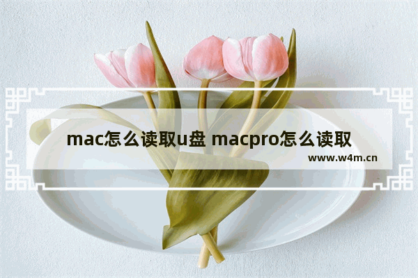 mac怎么读取u盘 macpro怎么读取u盘