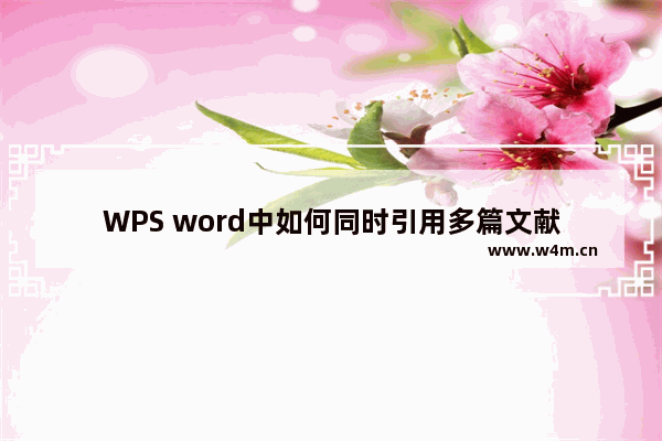 WPS word中如何同时引用多篇文献