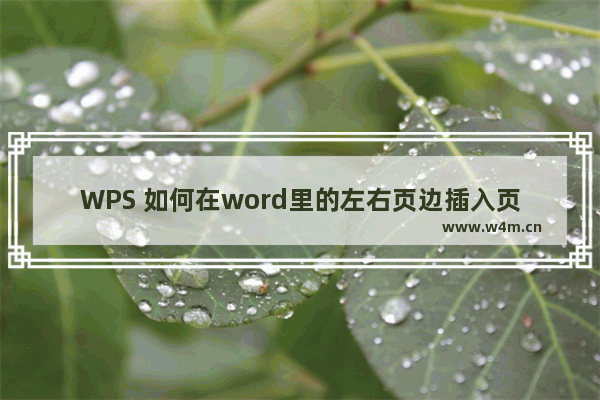 WPS 如何在word里的左右页边插入页码