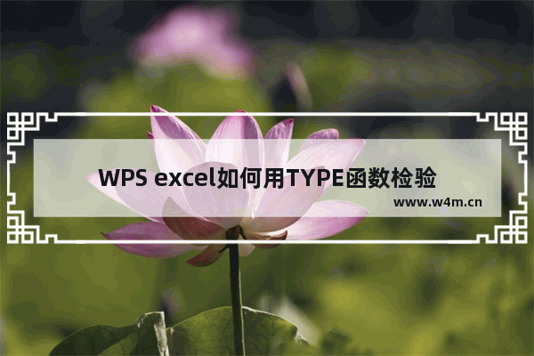 WPS excel如何用TYPE函数检验数值类型