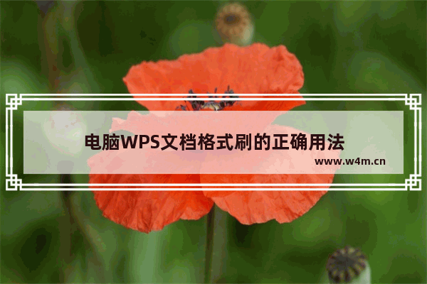 电脑WPS文档格式刷的正确用法