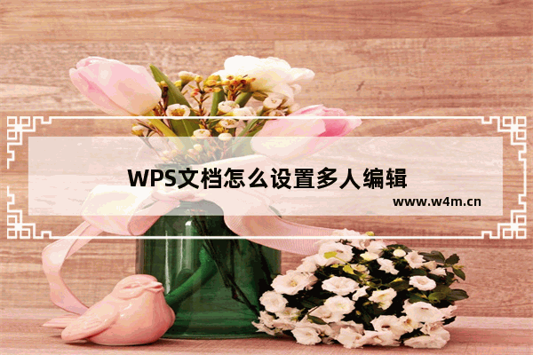 WPS文档怎么设置多人编辑