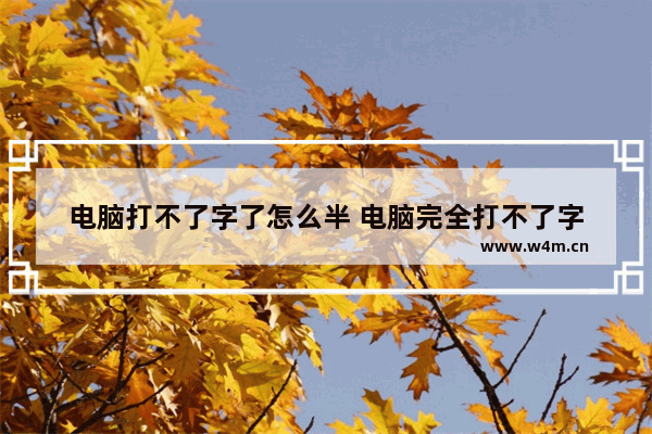 电脑打不了字了怎么半 电脑完全打不了字