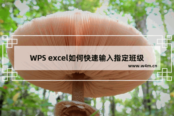 WPS excel如何快速输入指定班级