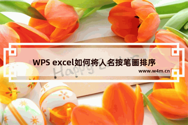 WPS excel如何将人名按笔画排序