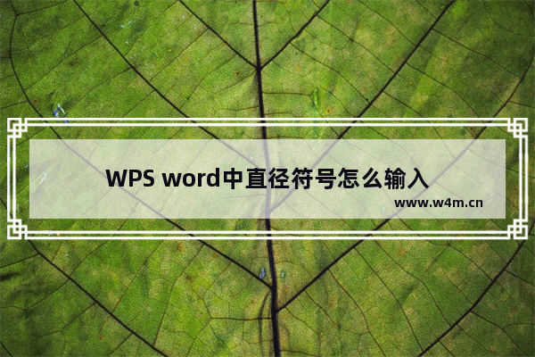 WPS word中直径符号怎么输入