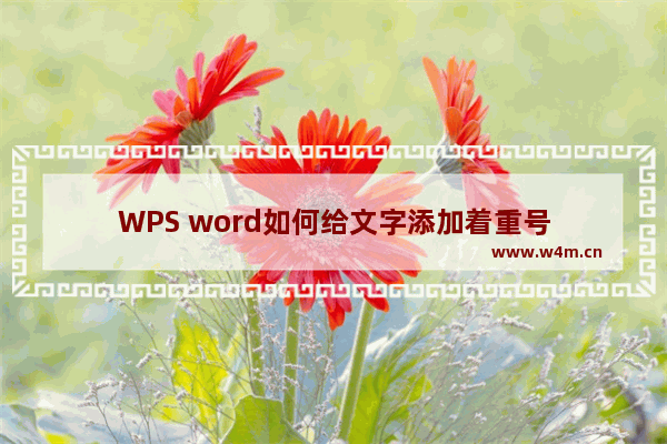 WPS word如何给文字添加着重号