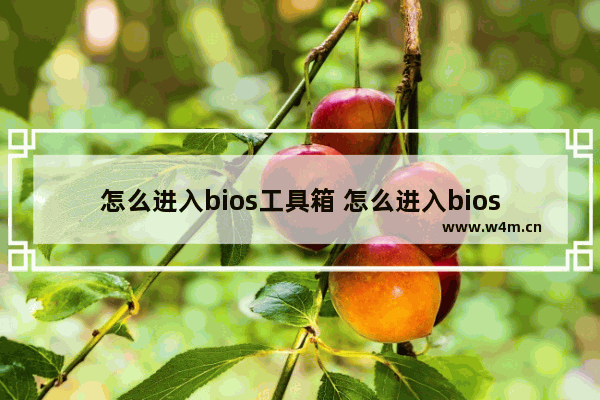 怎么进入bios工具箱 怎么进入bios快捷键