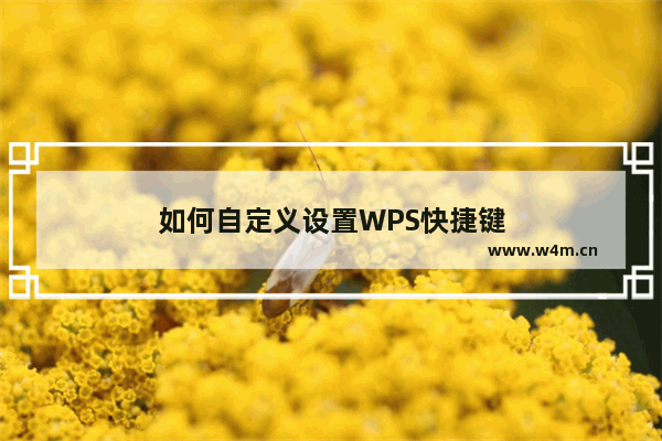 如何自定义设置WPS快捷键