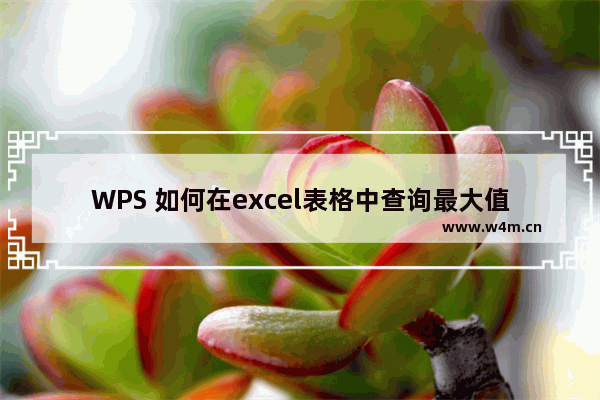 WPS 如何在excel表格中查询最大值和最小值