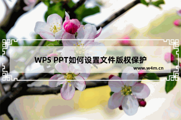 WPS PPT如何设置文件版权保护