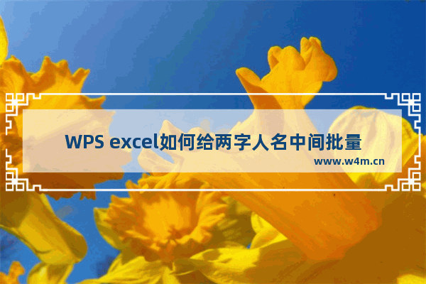 WPS excel如何给两字人名中间批量添加空格