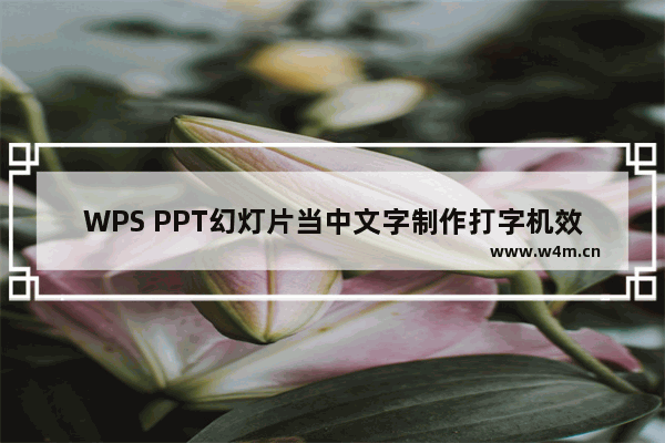 WPS PPT幻灯片当中文字制作打字机效果