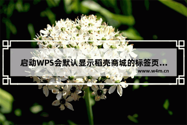 启动WPS会默认显示稻壳商城的标签页怎么关闭