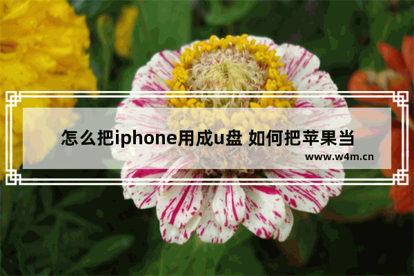 怎么把iphone用成u盘 如何把苹果当u盘