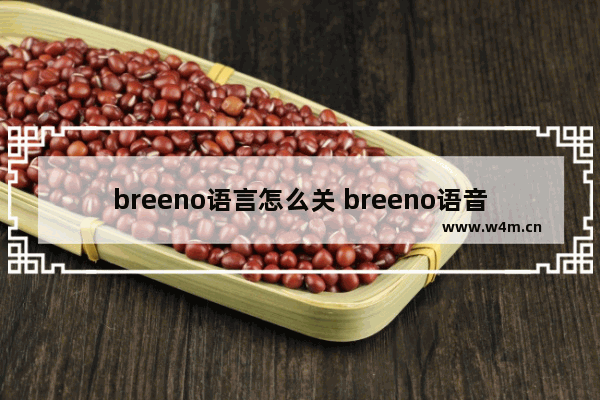 breeno语言怎么关 breeno语音设置