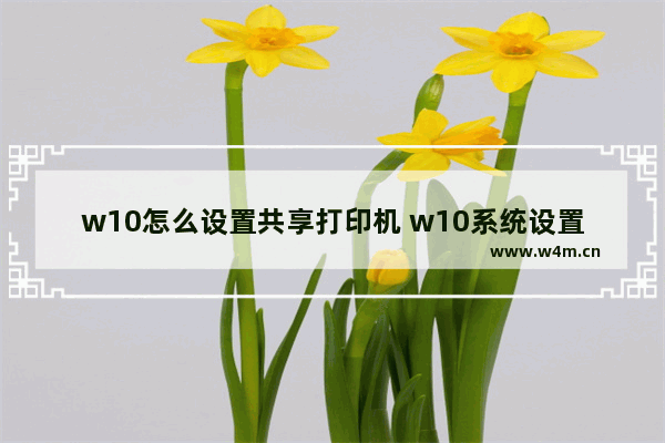 w10怎么设置共享打印机 w10系统设置打印机共享