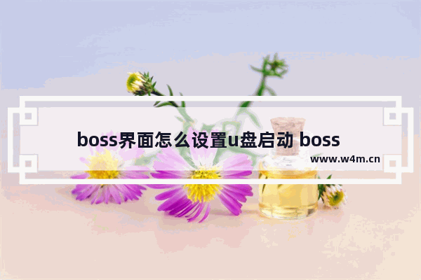 boss界面怎么设置u盘启动 boss u如何