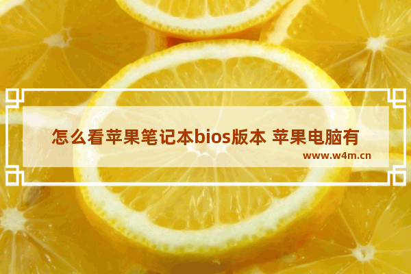 怎么看苹果笔记本bios版本 苹果电脑有bios