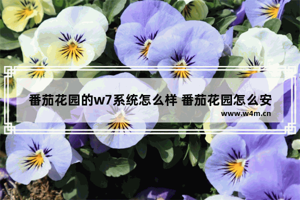 番茄花园的w7系统怎么样 番茄花园怎么安装系统