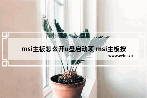 msi主板怎么开u盘启动项 msi主板按什么进入u盘启动