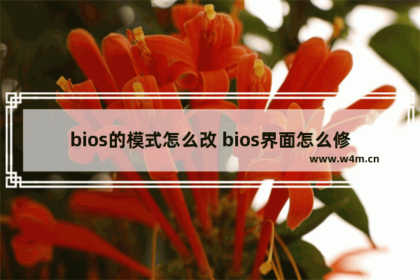 bios的模式怎么改 bios界面怎么修改