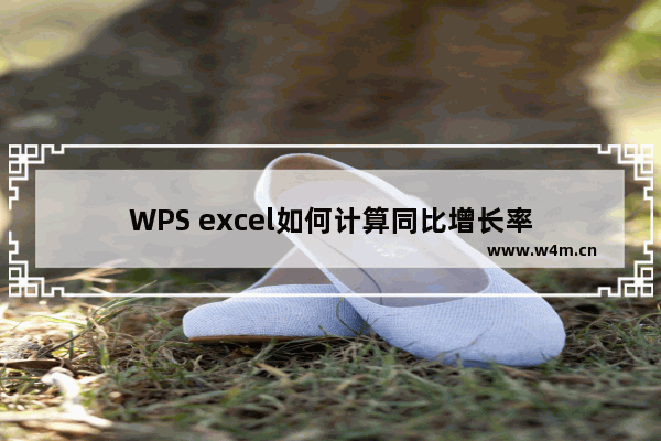 WPS excel如何计算同比增长率