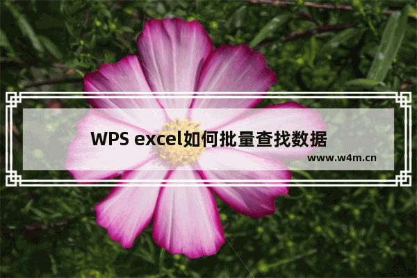 WPS excel如何批量查找数据