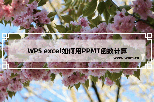 WPS excel如何用PPMT函数计算规定期间本金偿还额