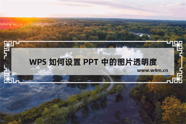 WPS 如何设置 PPT 中的图片透明度