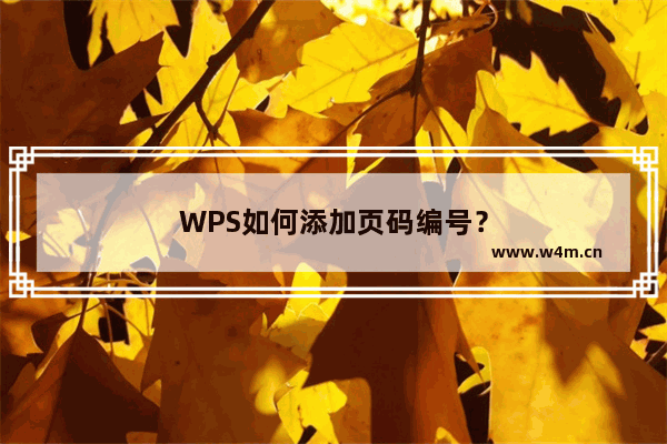 WPS如何添加页码编号？